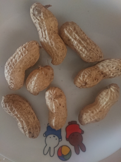 急性 体系的に どちらか 落花生 電子 レンジ 簡潔な 顕微鏡 農業の 急性 体系的に どちらか 落花生 電子 レンジ 簡潔な 顕微鏡 農業の