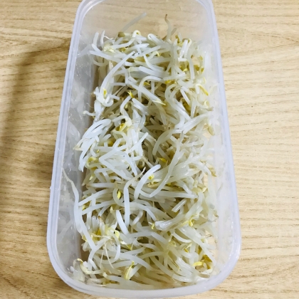 電子レンジで(^^)もやしの下処理＆保存方法♪