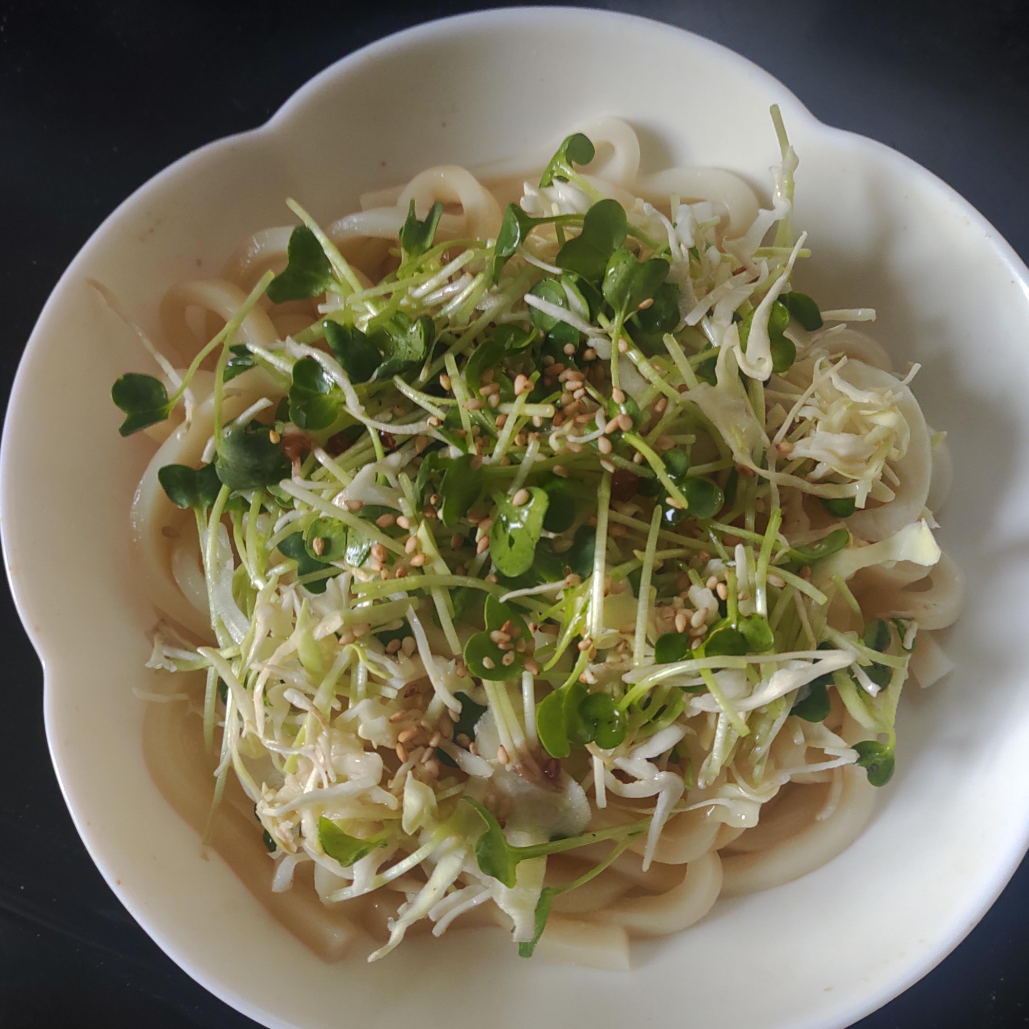 キャベツ、かいわれ、ごまの釜揚げうどん