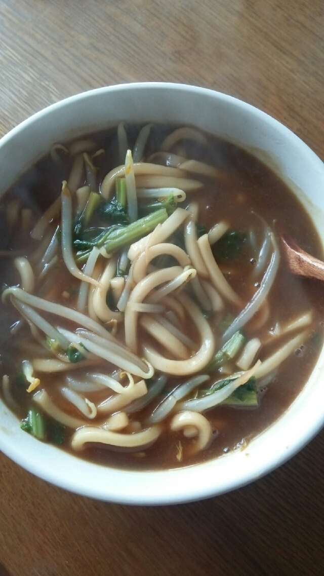 もやしとかぶの葉のカレーうどん