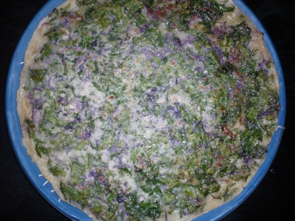 美味しかったので、又、作っちゃいました。今度は、春菊と紫キャベツを多めに入れて、見た目も綺麗でした。この写真でわかるかな？
ご馳走様でした。