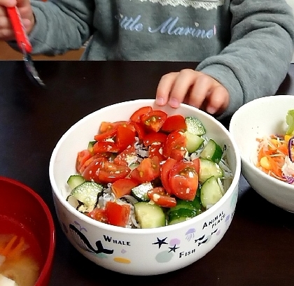 トマトときゅうりが好きな娘にトマトときゅうりマシマシで作りました！材料並べて、3歳の娘も自分で盛り付けました。
おいしくて、とてもたくさん食べました。