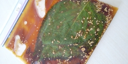 ごはん泥棒 エゴマの葉醤油漬け