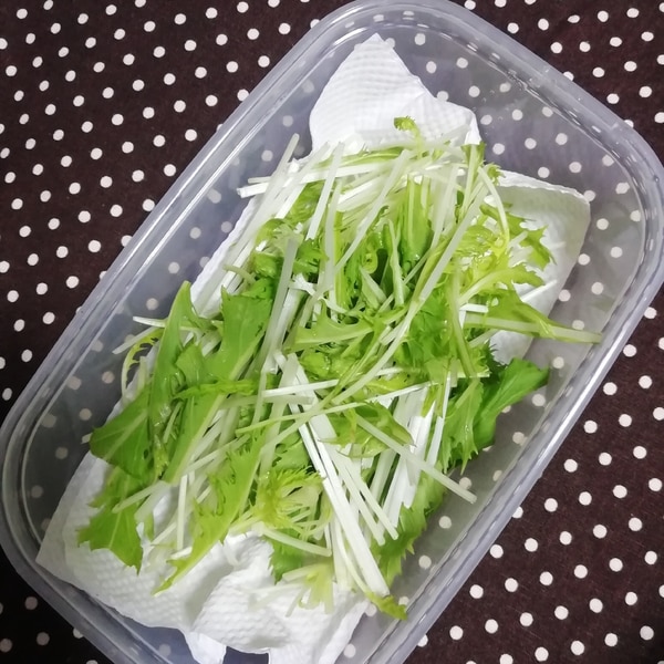 水菜の保存法 シャキシャキ長持ち レシピ 作り方 By せり7 楽天レシピ 水菜の保存法 シャキシャキ長持ち レシピ 作り方 By せり7 楽天レシピ
