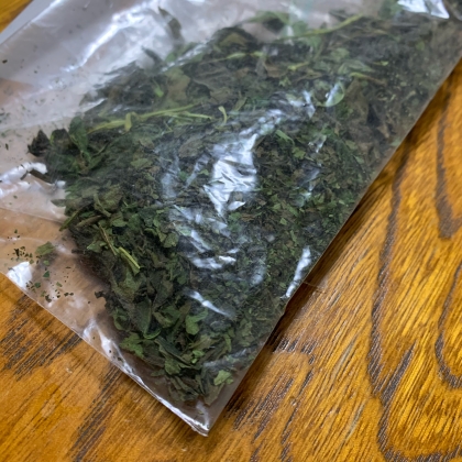 ミルなしで簡単 自家製ドライバジル作り方 保存方法 レシピ 作り方 By M H 楽天レシピ ミルなしで簡単 自家製ドライバジル作り方 保存方法 レシピ 作り方 By M H 楽天レシピ