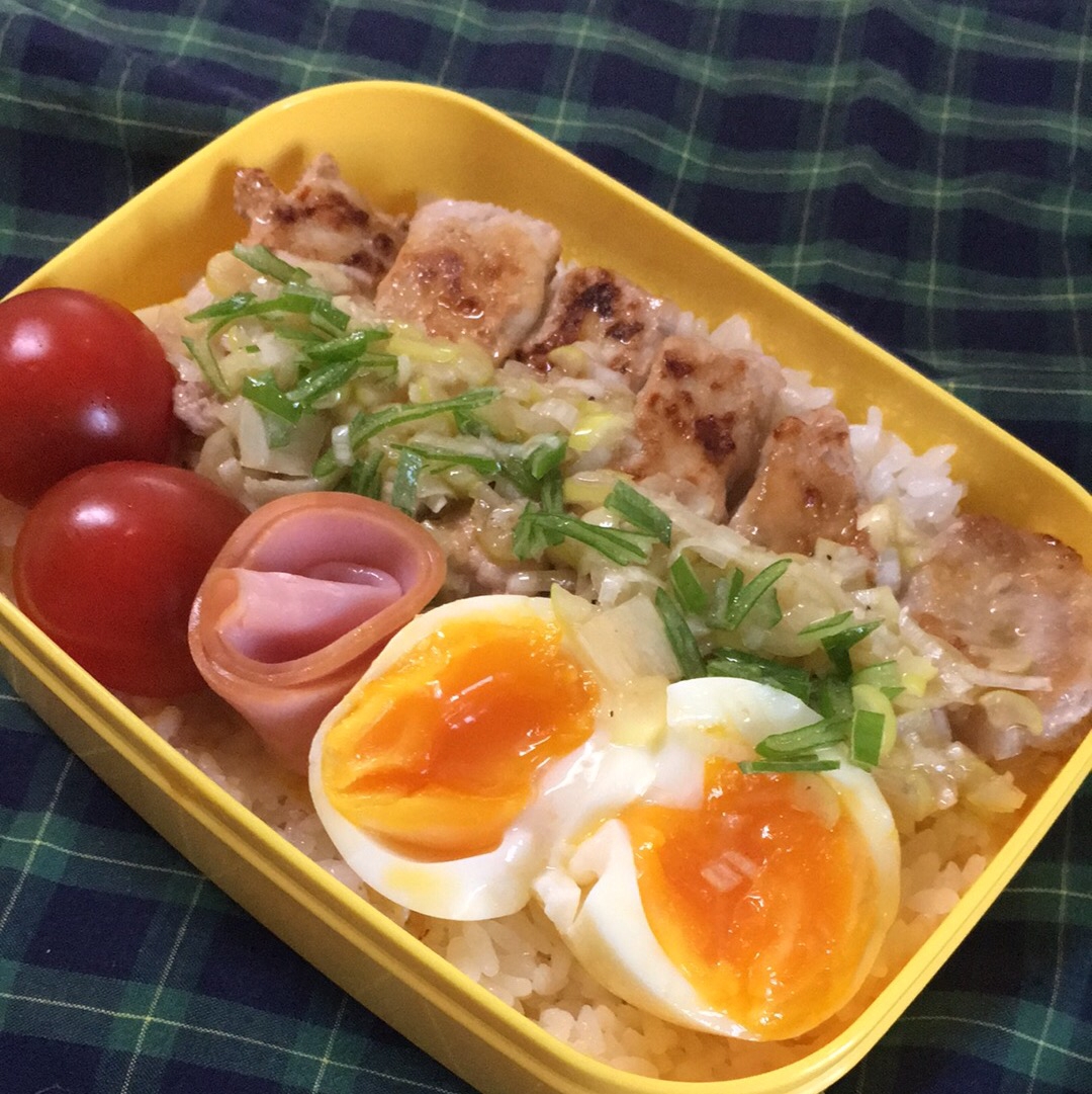 簡単柔らかネギ塩豚丼