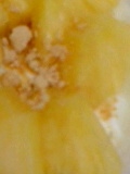 腸活(*^^*)パイナップルときな粉のヨーグルト