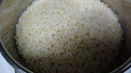 発芽玄米で作りました！寒天プラスで食べやすくなりますね！レシピありがとうございますm(__)m