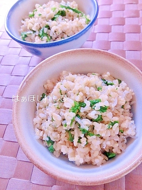 わさび菜とじゃこの混ぜご飯✿