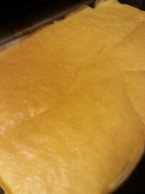 材料3つ簡単画像つきシートスポンジ生地