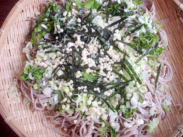 薬味たっぷりのせザル蕎麦 レシピ 作り方 By デブネコたん W ノ 楽天レシピ 薬味たっぷりのせザル蕎麦 レシピ 作り方 By デブネコたん W ノ 楽天レシピ