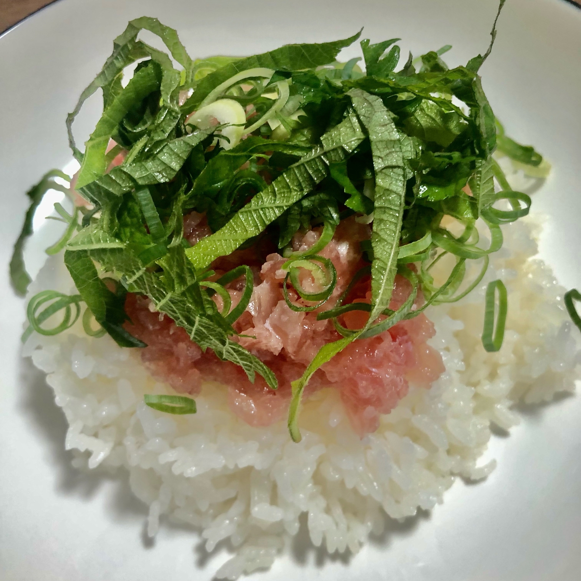 電子レンジで！ひと手間！簡単ネギトロ丼