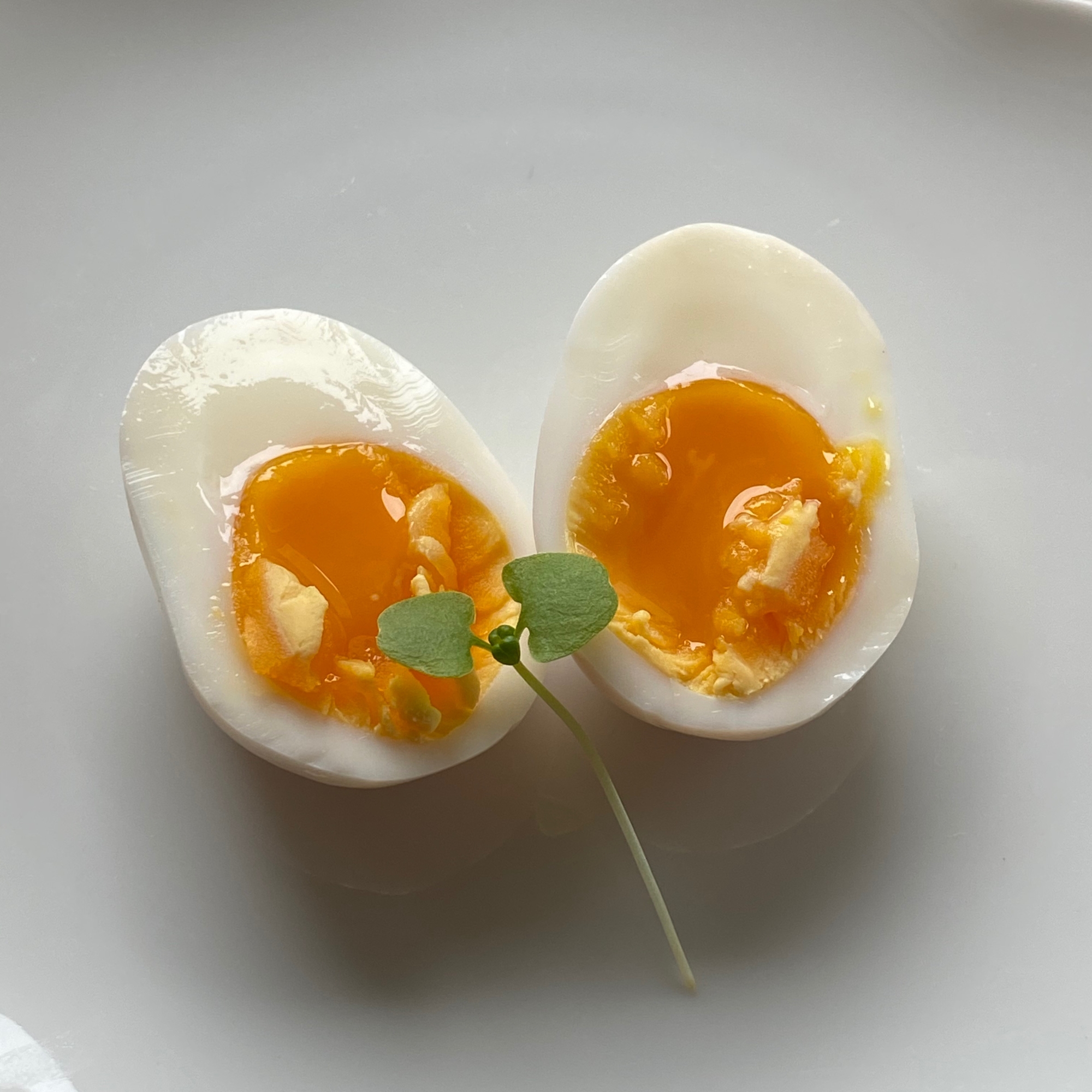 半熟玉子の白だし漬け レシピ 作り方 By ゆみたろう 目指せ細マッチョ 楽天レシピ 半熟玉子の白だし漬け レシピ 作り方 By ゆみたろう 目指せ細マッチョ 楽天レシピ