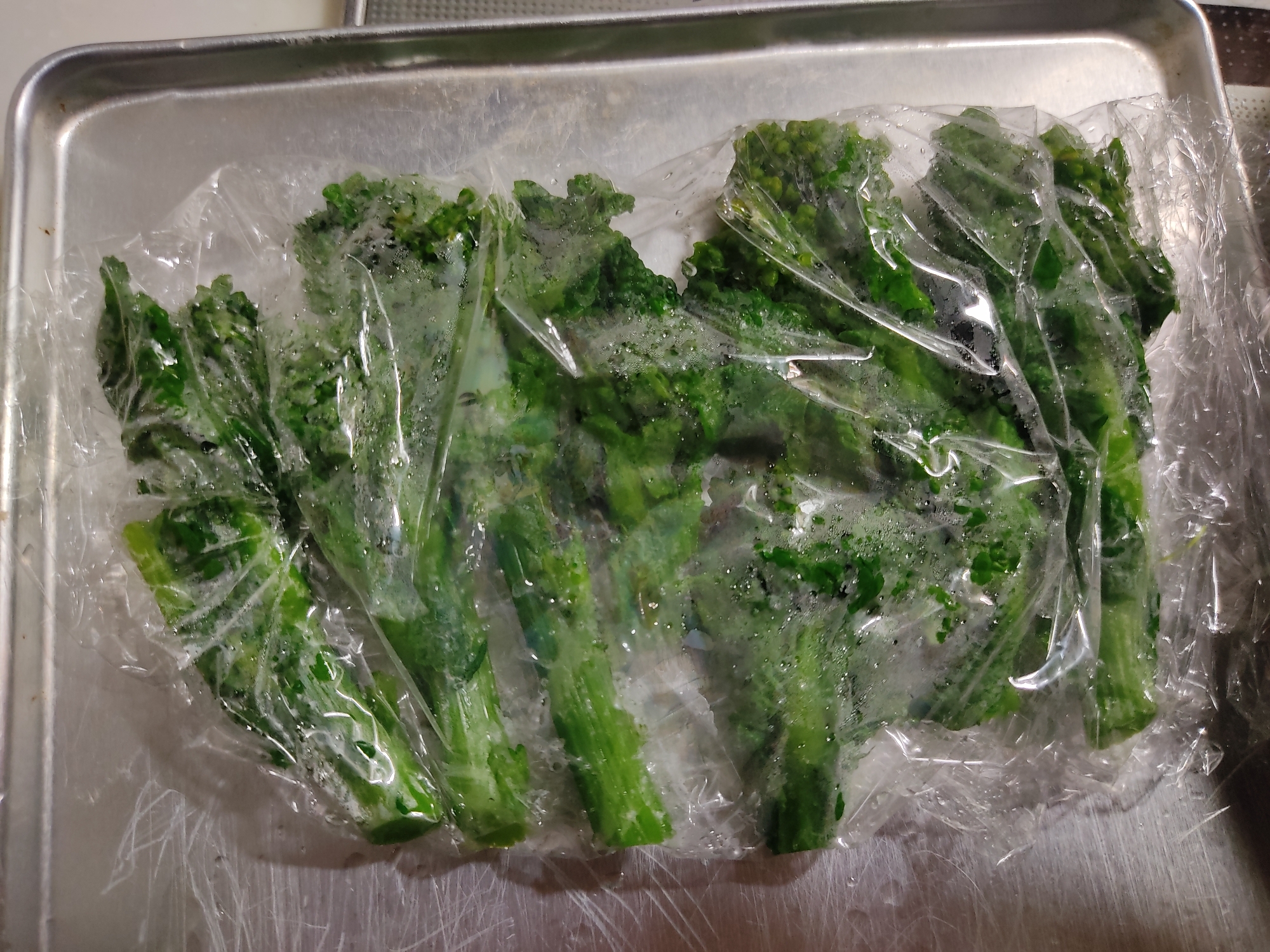 菜の花の冷凍保存方法