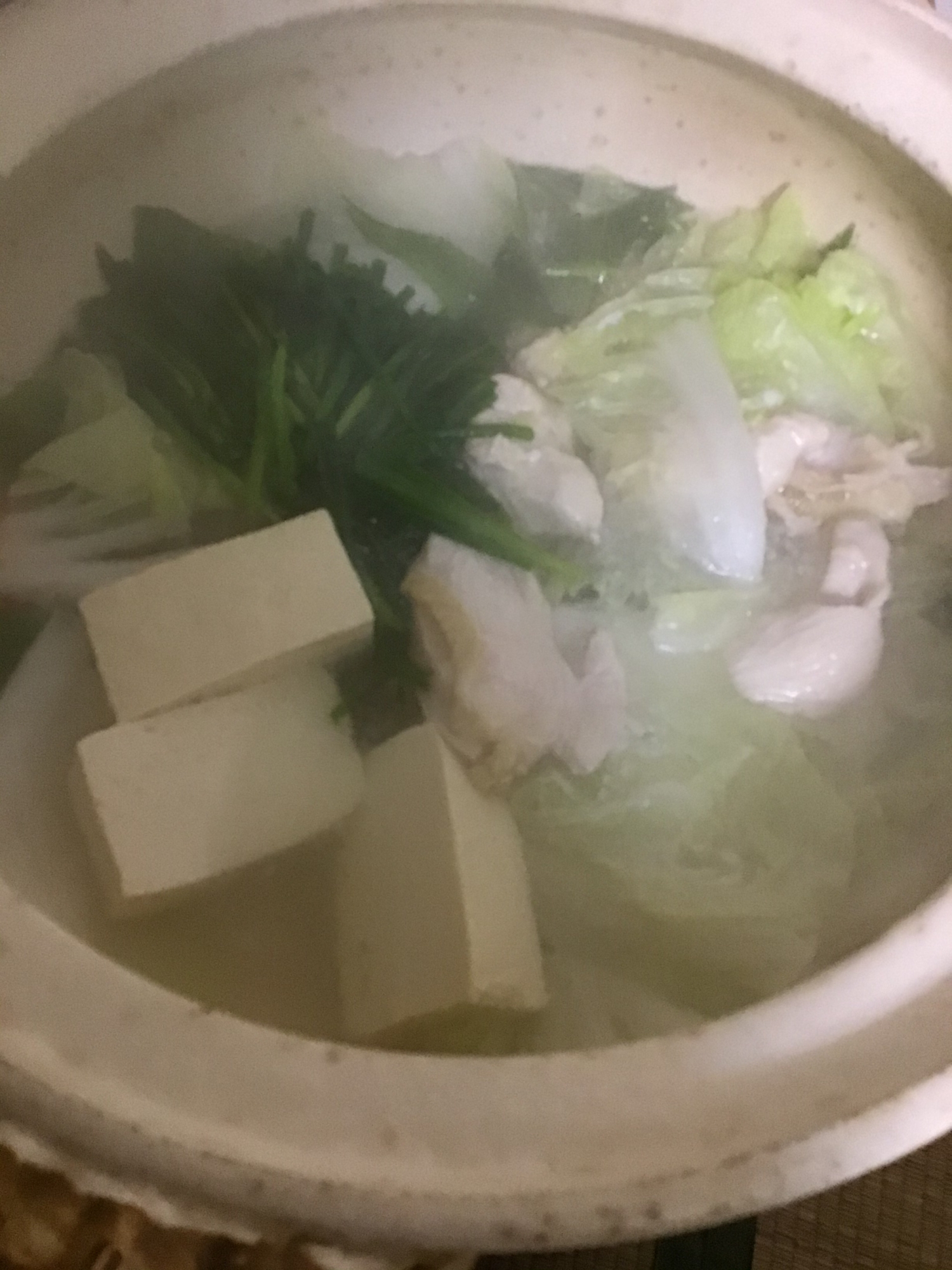 ニラと鶏ムネと白菜と豆腐の水炊き。