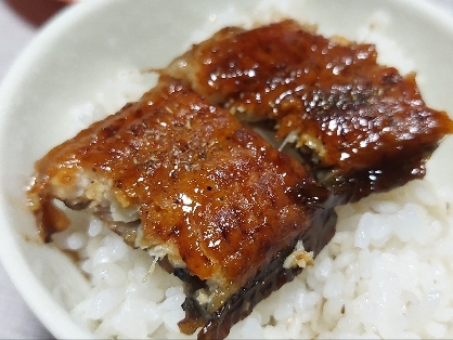 土用丑の日のうなぎ丼