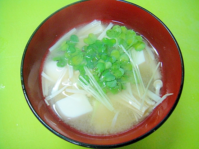 豆腐とえのき貝割れ大根の味噌汁