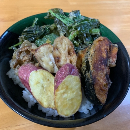 夏野菜いろいろ☘️たっぷり天丼