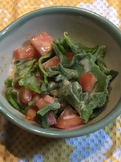 ごまドレッシングをかけていただきました。彩りよくて食卓に映えますね。
また作ります(*￣▽￣*)ノ