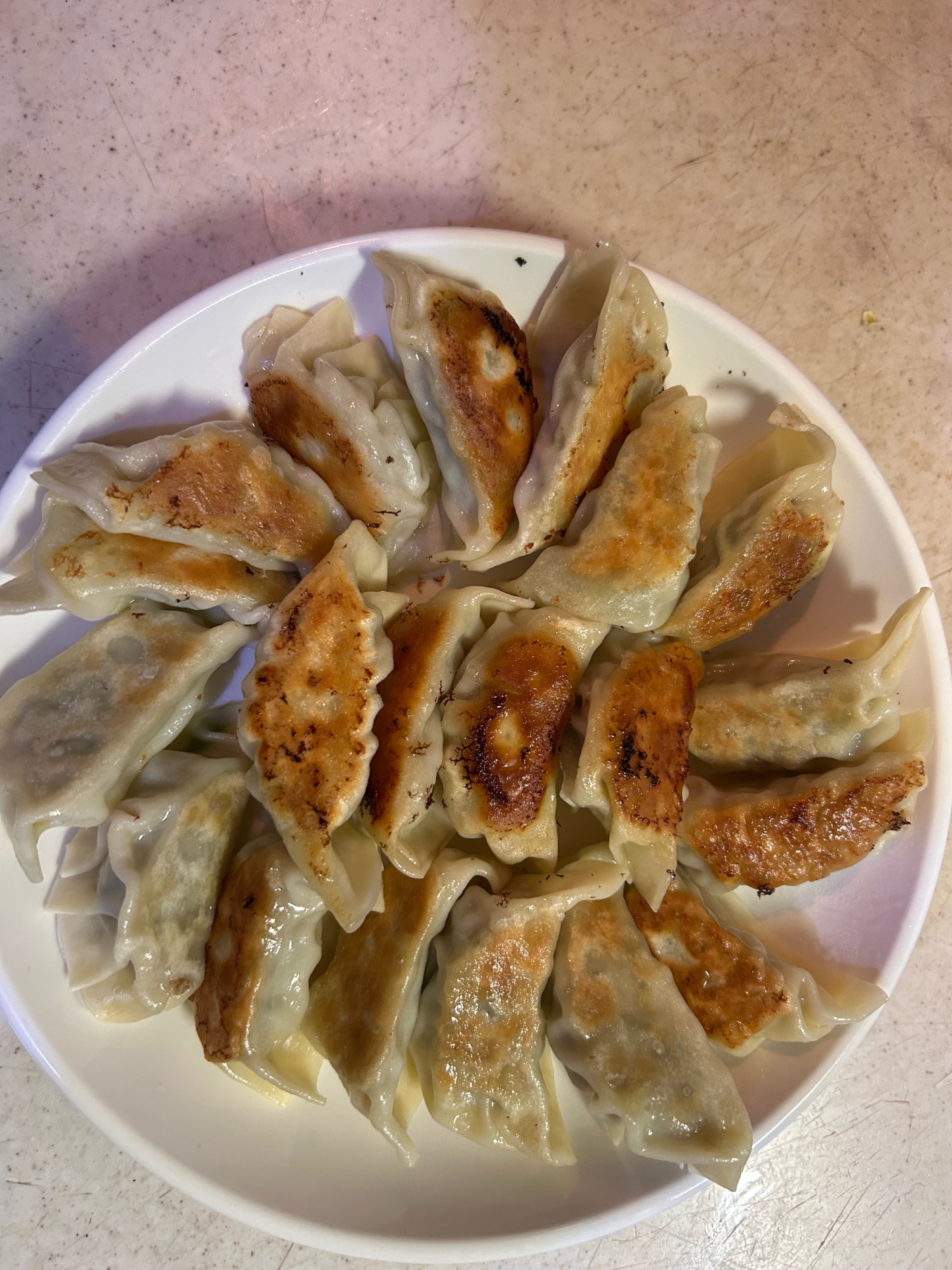 野菜たっぷり簡単に作れる餃子