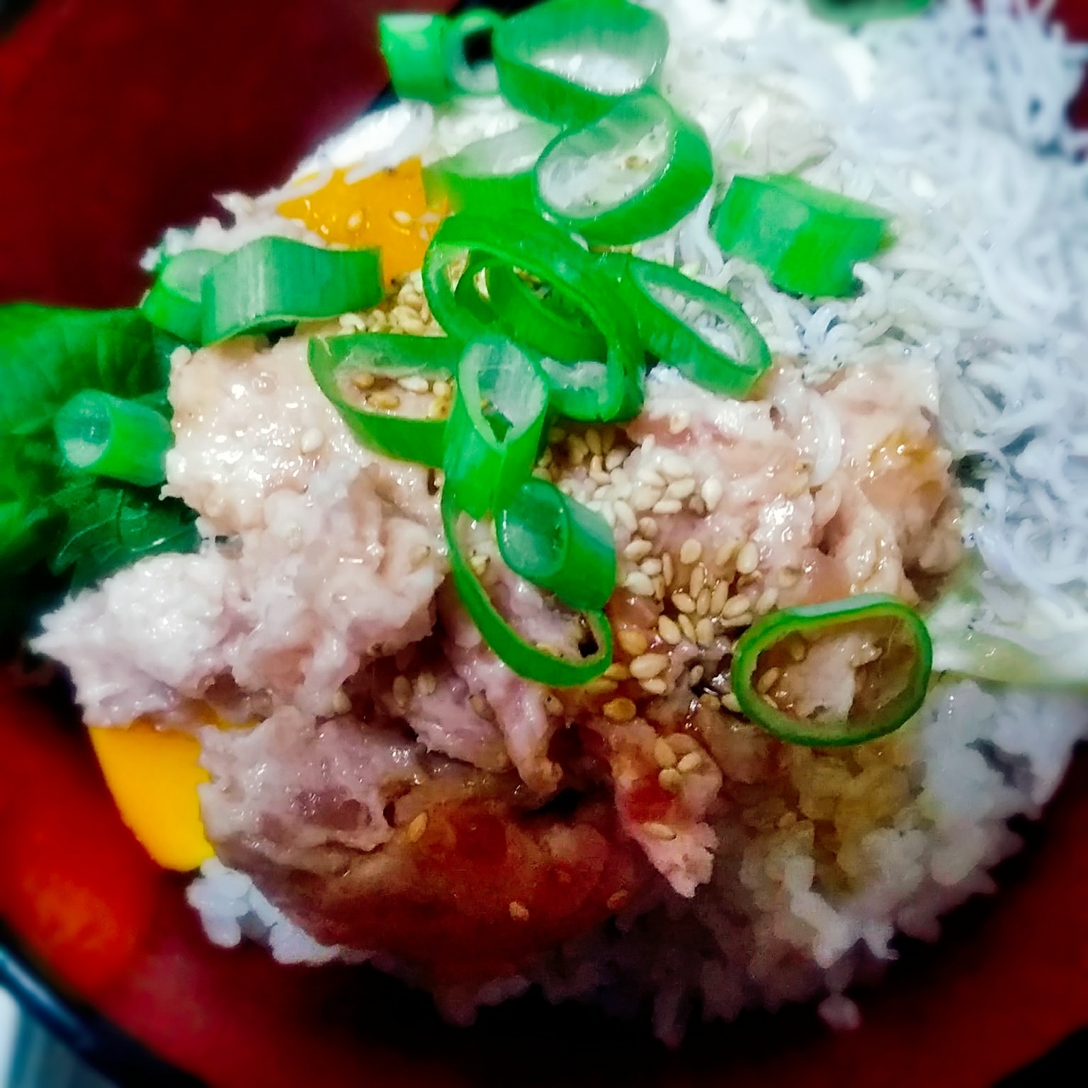 目玉焼きネギトロ丼