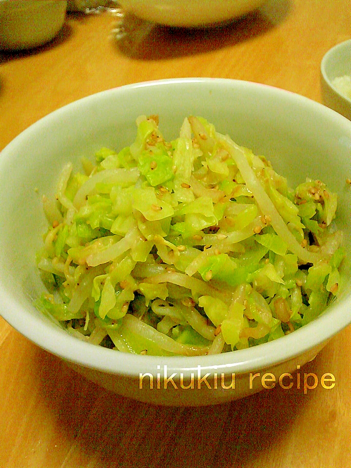 簡単おいしい！もやしとキャベツのごま味噌和え