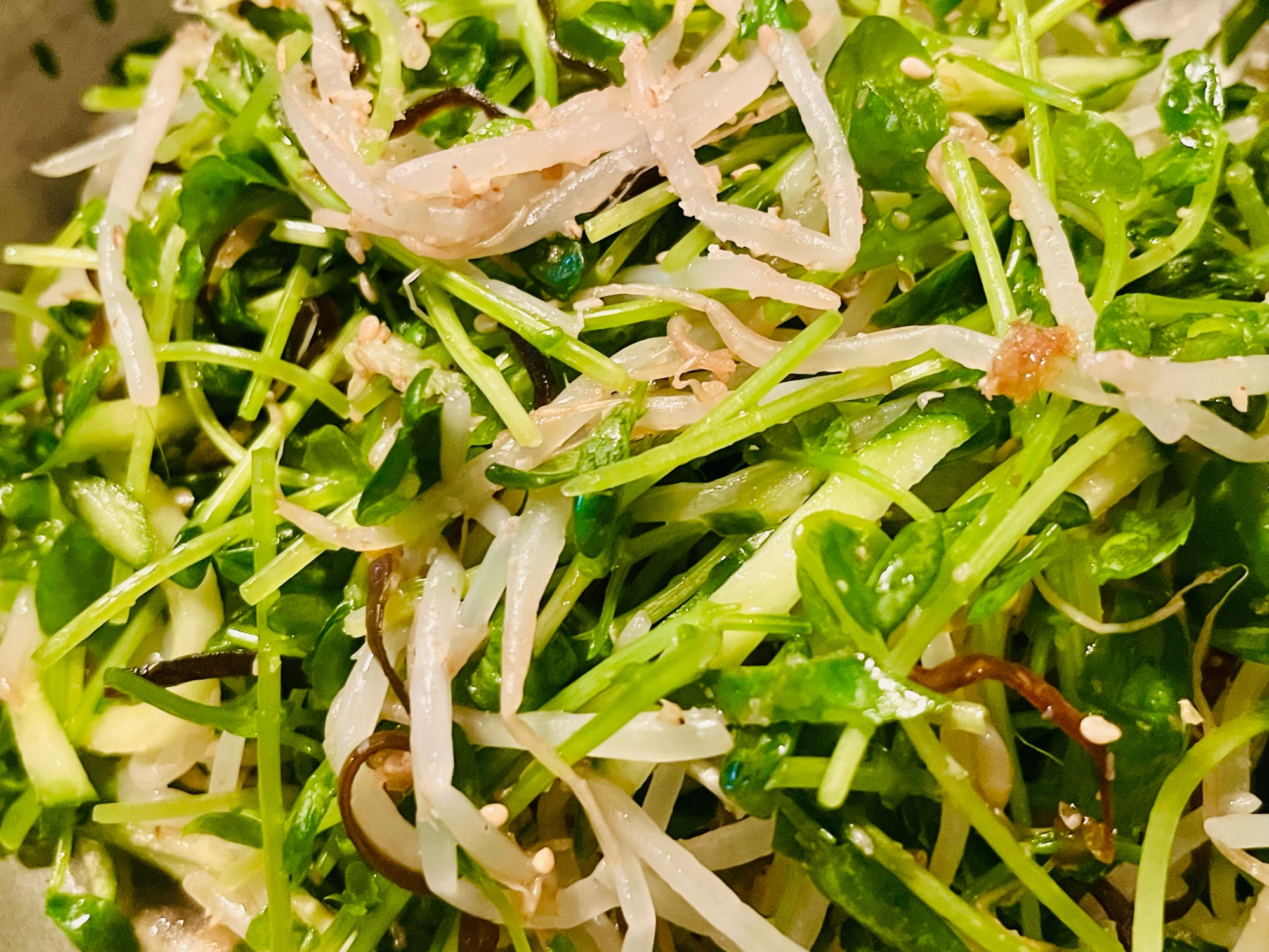 きゅうりともやしと豆苗のナムル