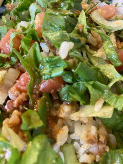 〜チリパウダー無しのタコライス用のひき肉〜