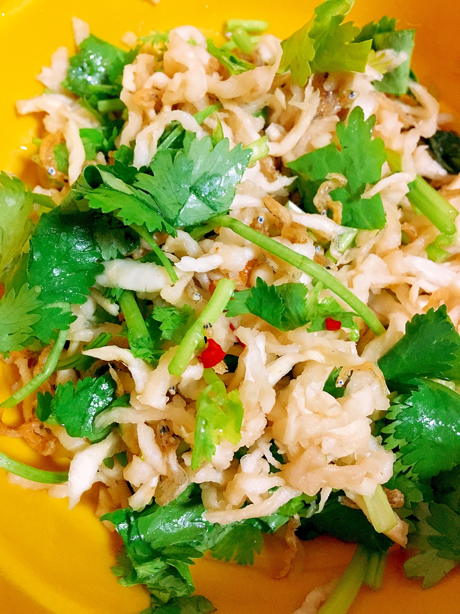タイ風おかず★切り干し大根のパクチー和え