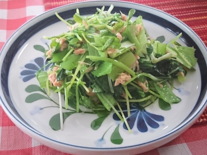 カット野菜と豆苗で無限サラダ