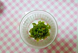 離乳食後期 ピーマンのおかか和え レシピ 作り方 By Yulico Lime 楽天レシピ 離乳食後期 ピーマンのおかか和え レシピ 作り方 By Yulico Lime 楽天レシピ