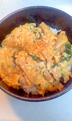 うす揚げとタケノコの丼