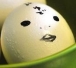 mala9