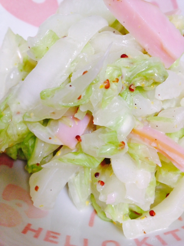 白菜の☆ハニーマスタードマヨサラダ