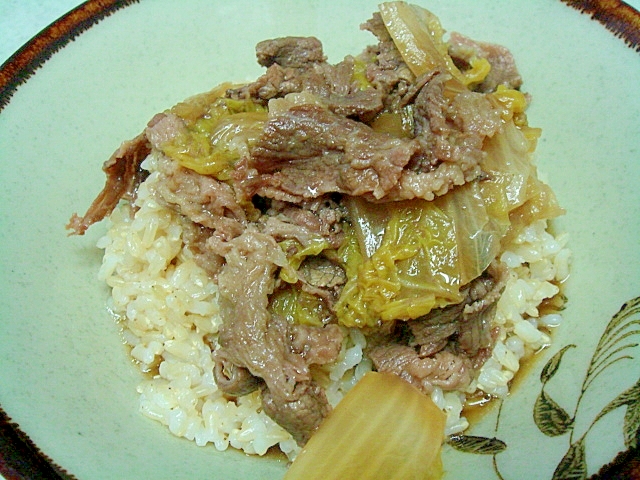 白菜で牛丼　玉葱ない時～