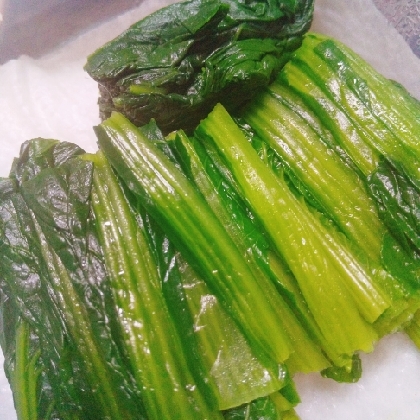 便利♪小松菜のゆで方、冷蔵方法