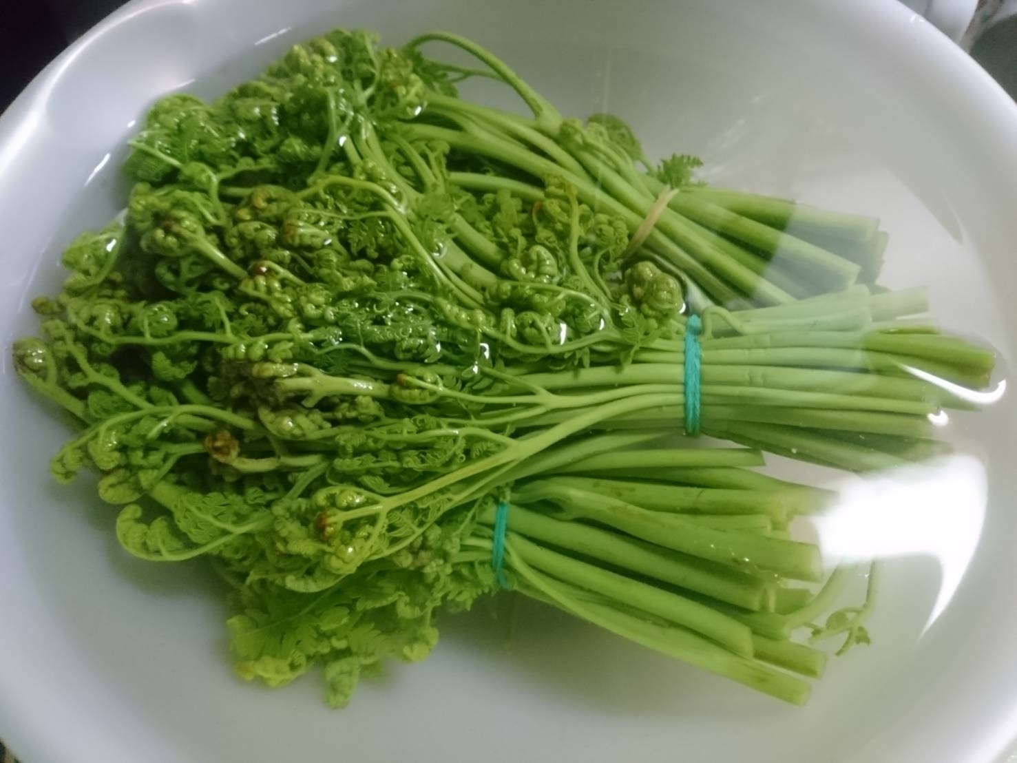 1日置きも重曹も必要なし 簡単 わらびのアク抜き法 レシピ 作り方 By あやめぇ 楽天レシピ 1日置きも重曹も必要なし 簡単 わらびのアク抜き法 レシピ 作り方 By あやめぇ 楽天レシピ