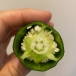 スマイル＾＾ピーマン