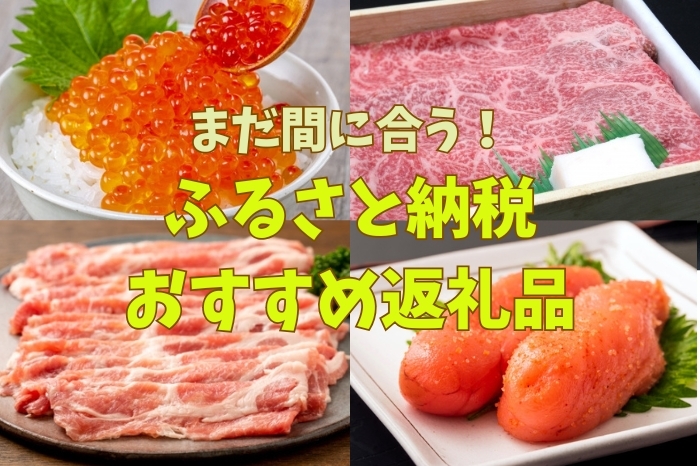 【まだ間に合う！】2024年度 ふるさと納税のおすすめ返礼品