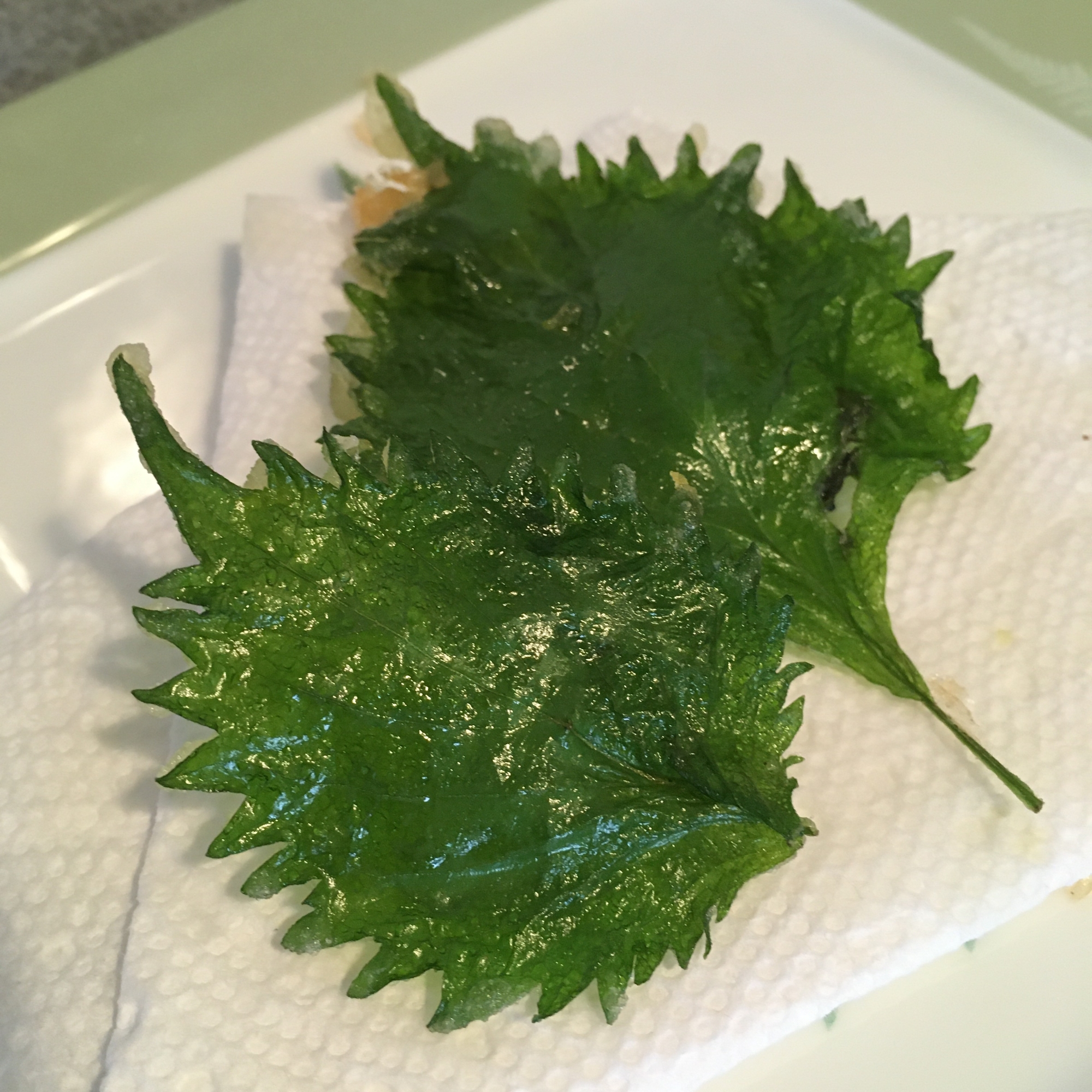 家庭菜園の シソの葉の天ぷら レシピ 作り方 By 好き嫌い大王の料理番 楽天レシピ 家庭菜園の シソの葉の天ぷら レシピ 作り方 By 好き嫌い大王の料理番 楽天レシピ