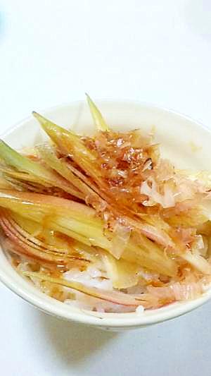 簡単 美味しい みょうが丼 レシピ 作り方 By リックミドリノインコ 楽天レシピ