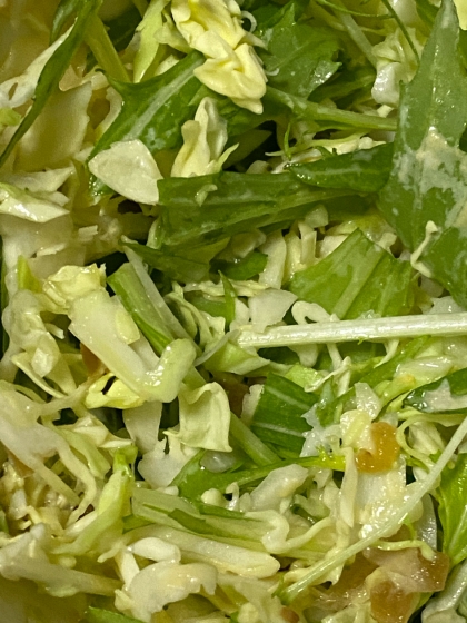 千切りキャベツと水菜の中華サラダ