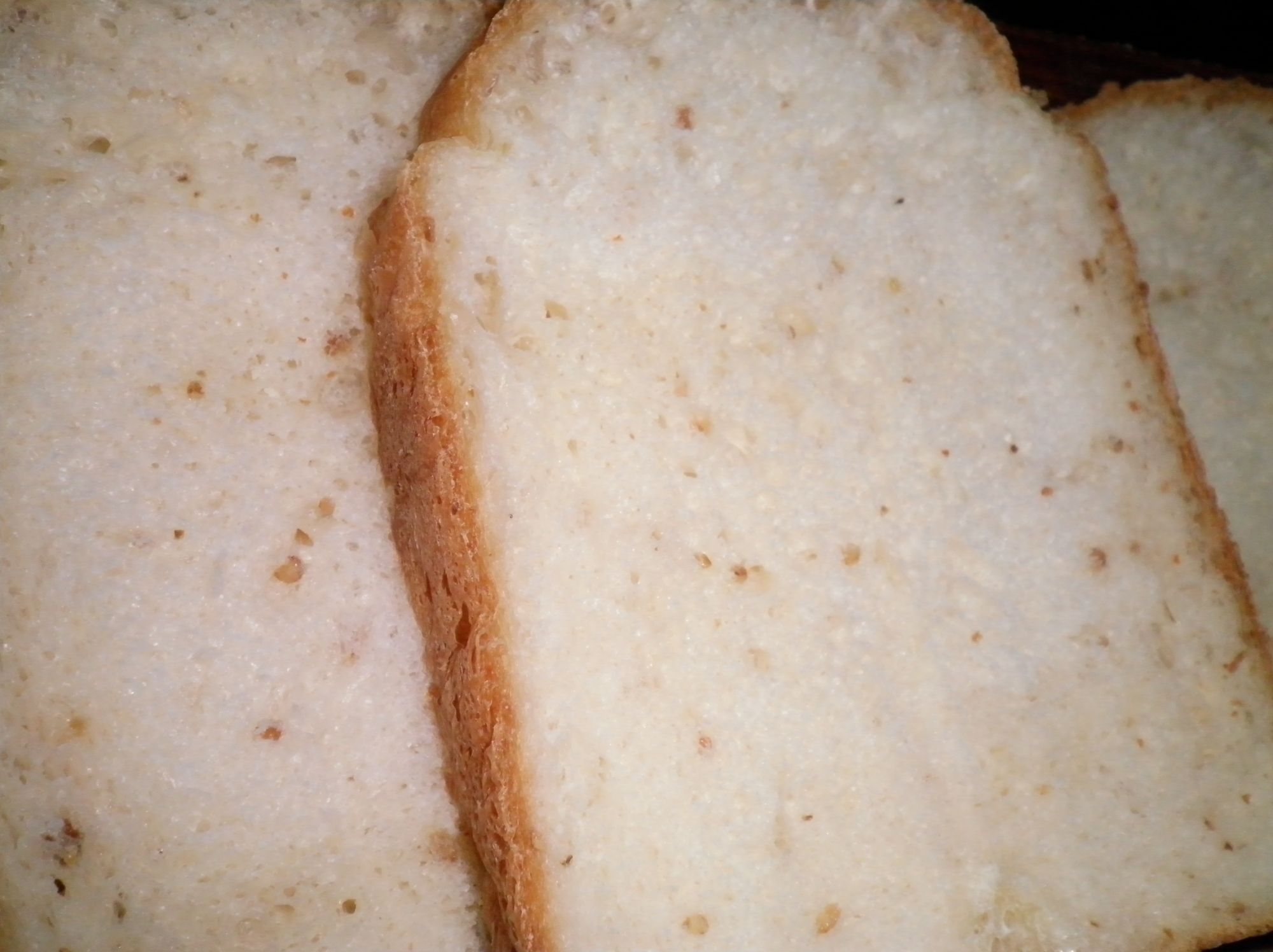 減塩韃靼蕎麦の実入りの食パン