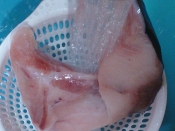 ぶりかま 塩焼き コツ ポイント 簡単下ごしらえ レシピ 作り方 By Hideok8 楽天レシピ