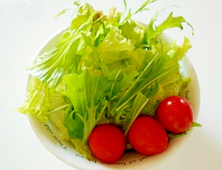 サニーレタスと水菜のグリーンサラダ