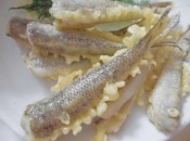 ふっくらハゼの天ぷら パリパリ骨せんべい レシピ 作り方 By V るん 0394 楽天レシピ ふっくらハゼの天ぷら パリパリ骨せんべい レシピ 作り方 By V るん 0394 楽天レシピ