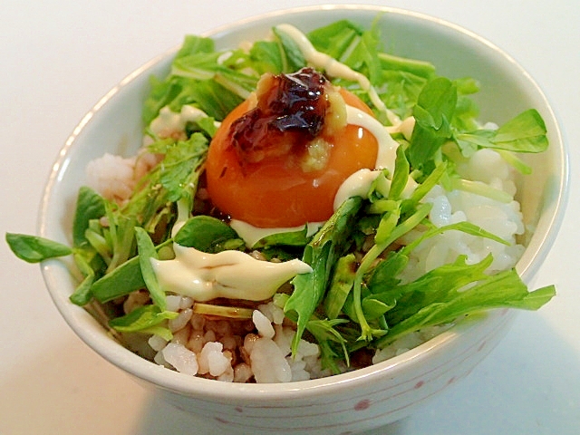 醤油マヨで　生姜香る・水菜と豆苗と卵黄のご飯