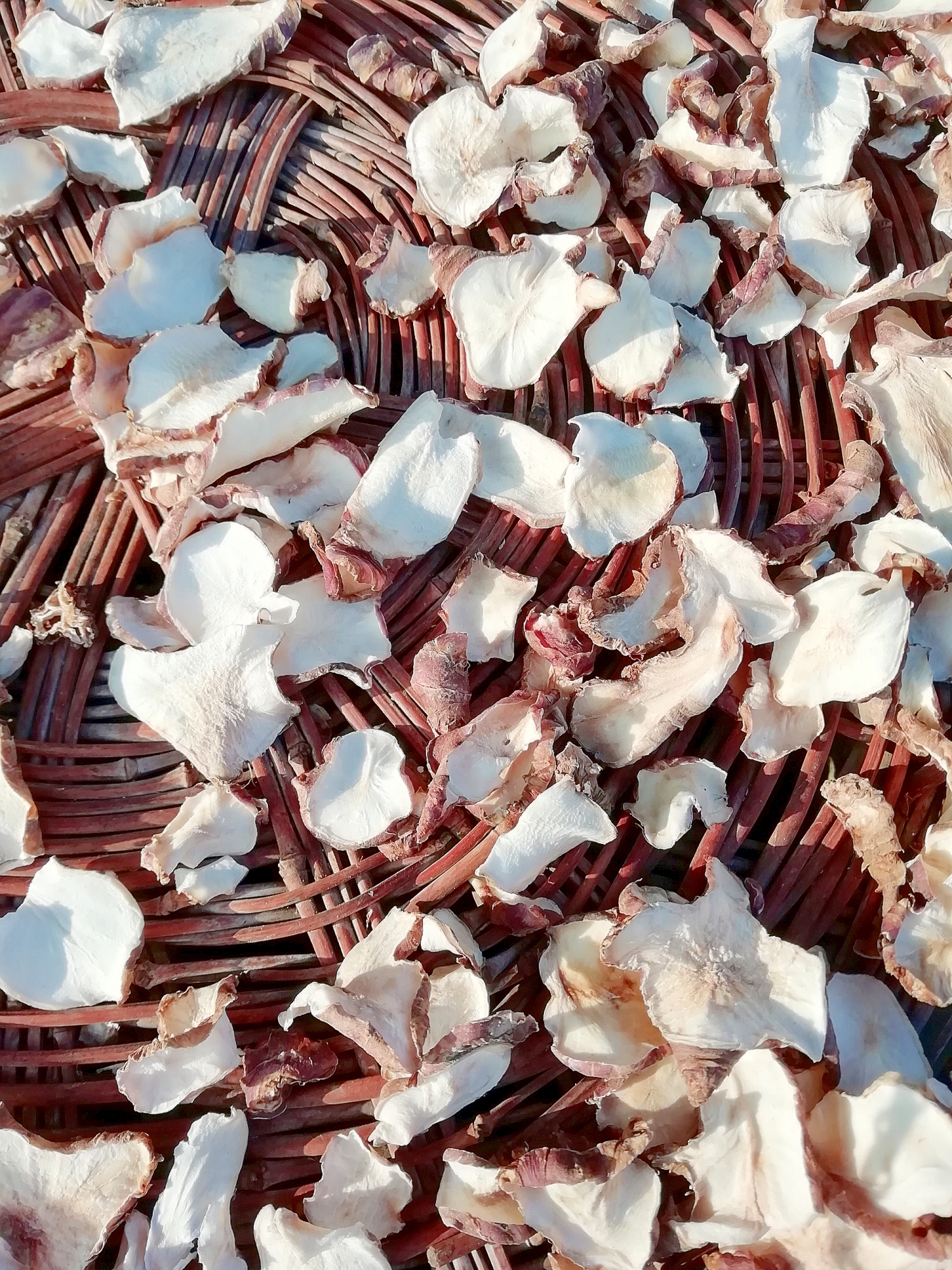 乾燥料理 フランス菊芋で乾燥菊芋 レシピ 作り方 By 料理初心者のレシピです 楽天レシピ 乾燥料理 フランス菊芋で乾燥菊芋 レシピ 作り方 By 料理初心者のレシピです 楽天レシピ