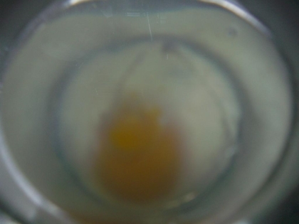 レンジで簡単温玉