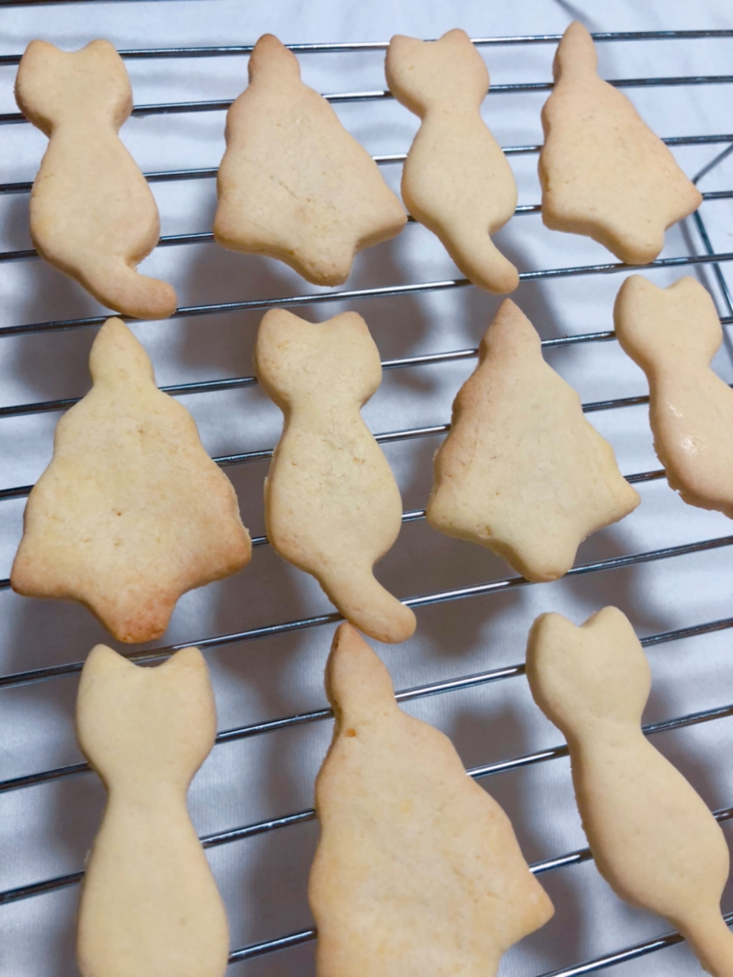 サックサク 甘さ控えめ幼児用おやつクッキー レシピ 作り方 By Mama Chan 楽天レシピ サックサク 甘さ控えめ幼児用おやつクッキー レシピ 作り方 By Mama Chan 楽天レシピ